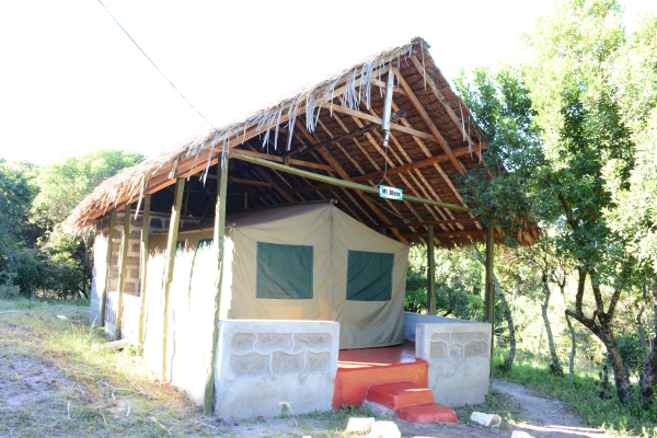 Standard-Tent 2