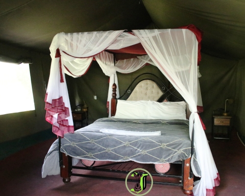 Lenchada-camp3